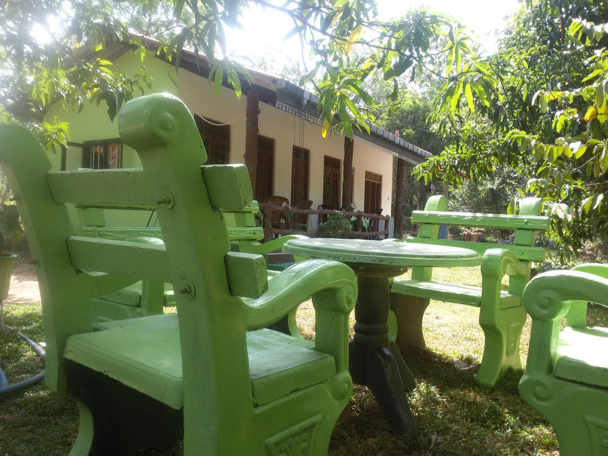 Sigiri Binara Villa Sigirîya Extérieur photo